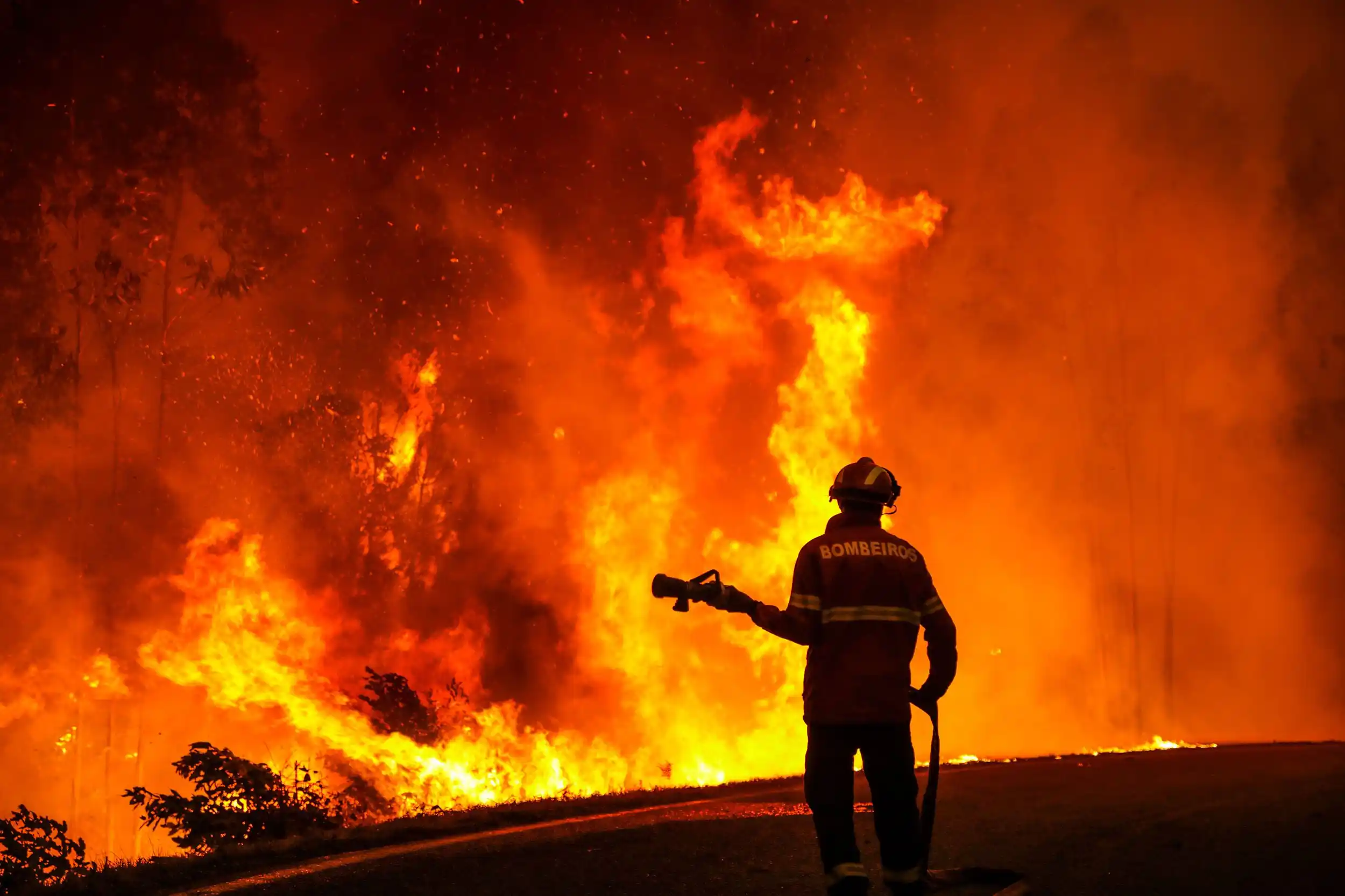 Europe heatwave wildfires